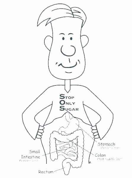 Digestive System Coloring Sheet Awesome Human Body Coloring Page – Austinburgfo