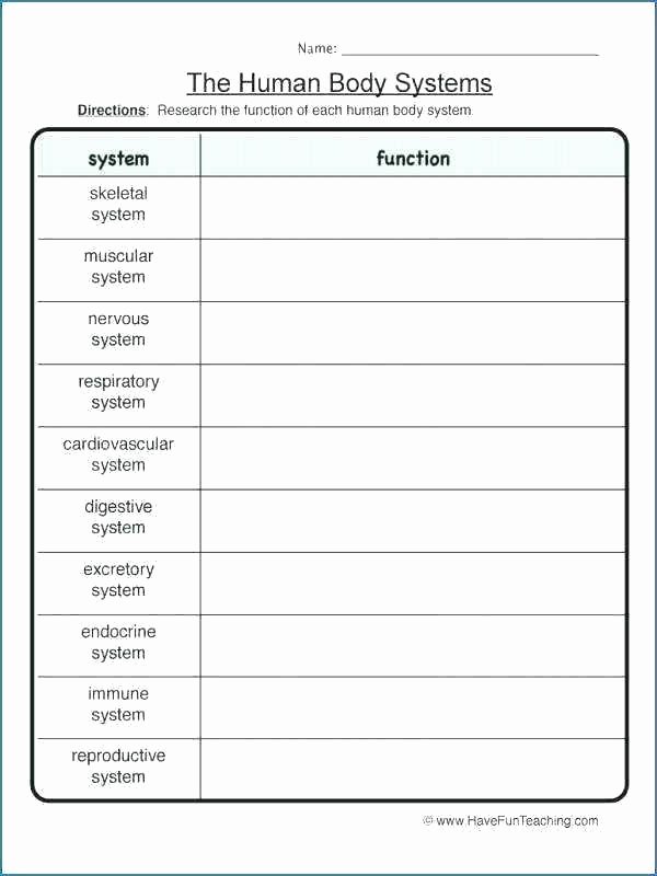 body ems worksheets answers digestive em worksheet awesome activities human interactions body systems worksheets answers ac panies basic animal and human body systems worksheet answers