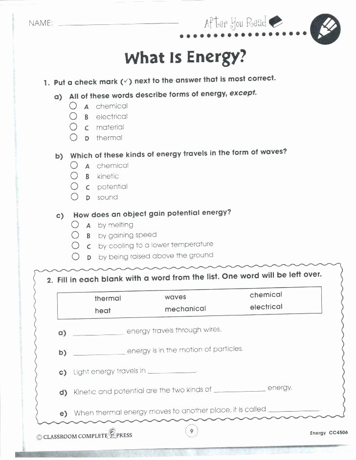 Digestive System Worksheets Middle School Middle School Worksheets