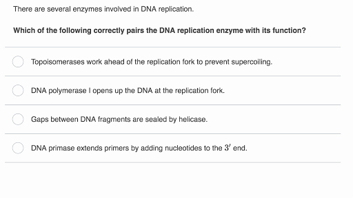 Dna Structure Worksheet High School Best Of Dna as the Genetic Material Biology Science