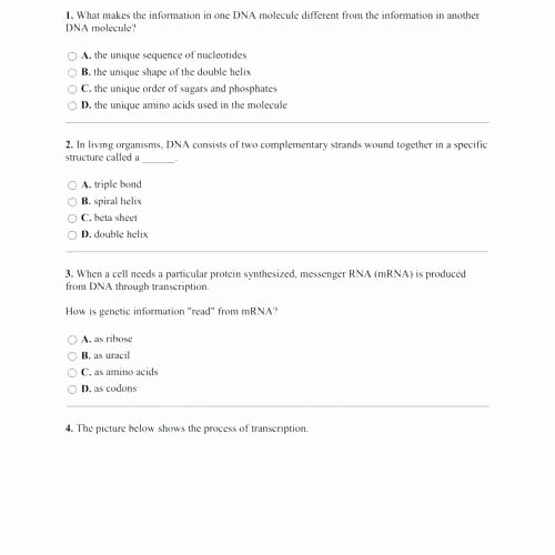 Dna Structure Worksheet High School Inspirational Worksheet 16 Dna Replication Answer Key