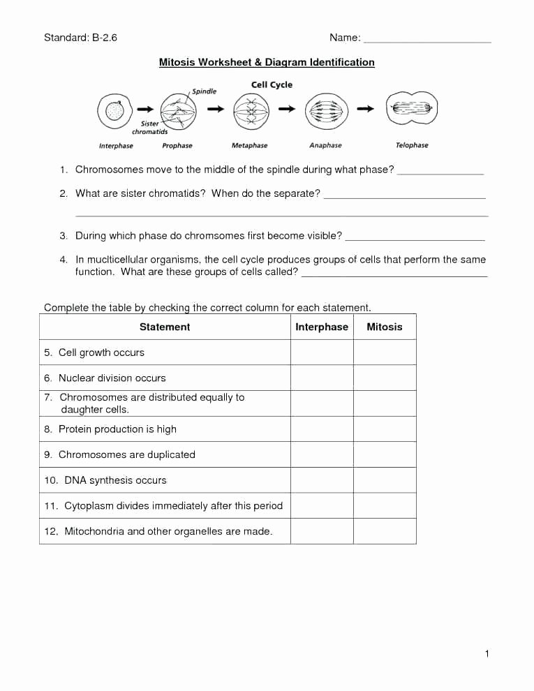 Dna Worksheet Middle School Pdf Best Of Ecology Worksheets for High School Quiz Worksheet Answer Key