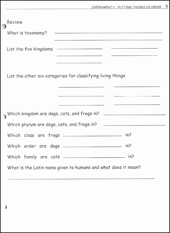 Dogs Decoded Worksheet Unique Earth Science Worksheets and Answers Printable Grade Math