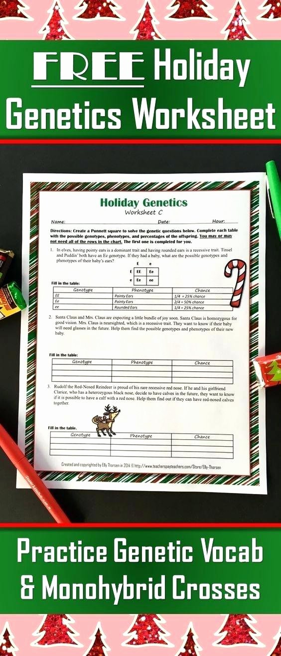 Dominant and Recessive Traits Worksheet Awesome Genetics Info and Square Activity for Kids Heredity