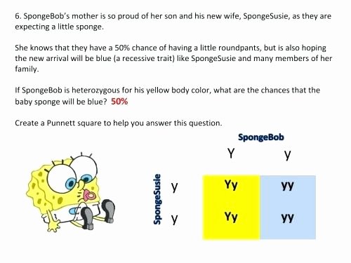 Dominant and Recessive Traits Worksheet Unique Genetics Info and Square Activity for Kids Heredity