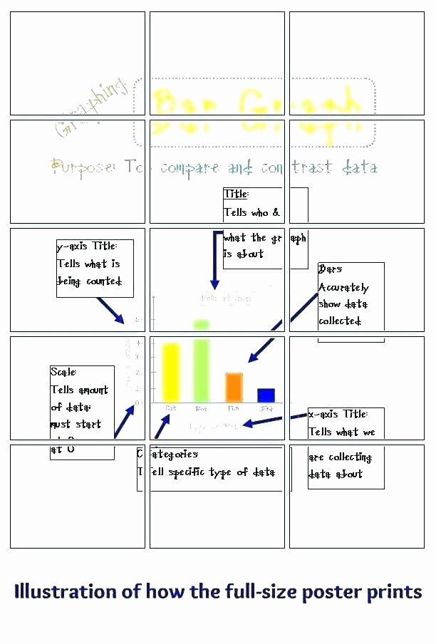 Dot Plot Worksheets 6th Grade Double Bar Graph Worksheets
