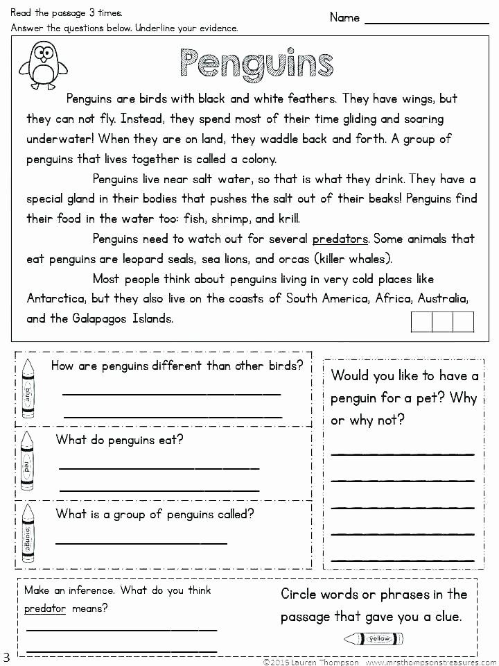 Drawing Conclusions Worksheets 4th Grade Drawing Conclusions Worksheets