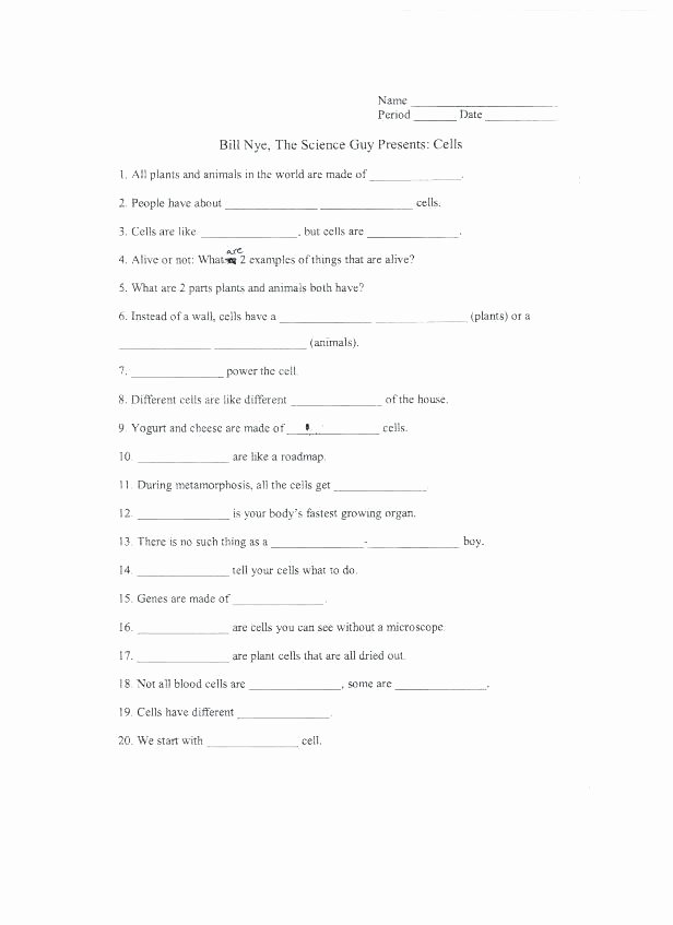 Earthquake Worksheets Middle School Unique Science Movie Worksheets