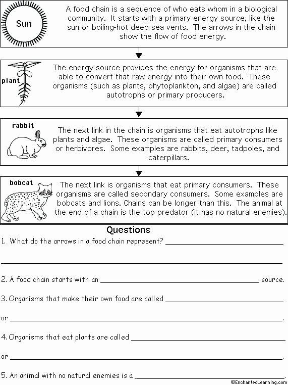 Ecology Worksheets Middle School Ecology Taking Care Earth Grade Reading Prehension
