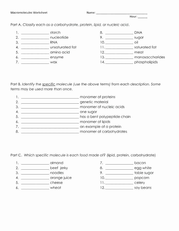 Ecology Worksheets Middle School Flowers Ecology Worksheets for High School Lessons