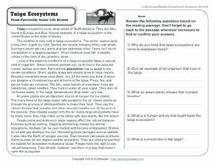Ecosystem Worksheet Answer Key Beautiful About This Worksheet Ecosystem Worksheets 4th Grade Pdf