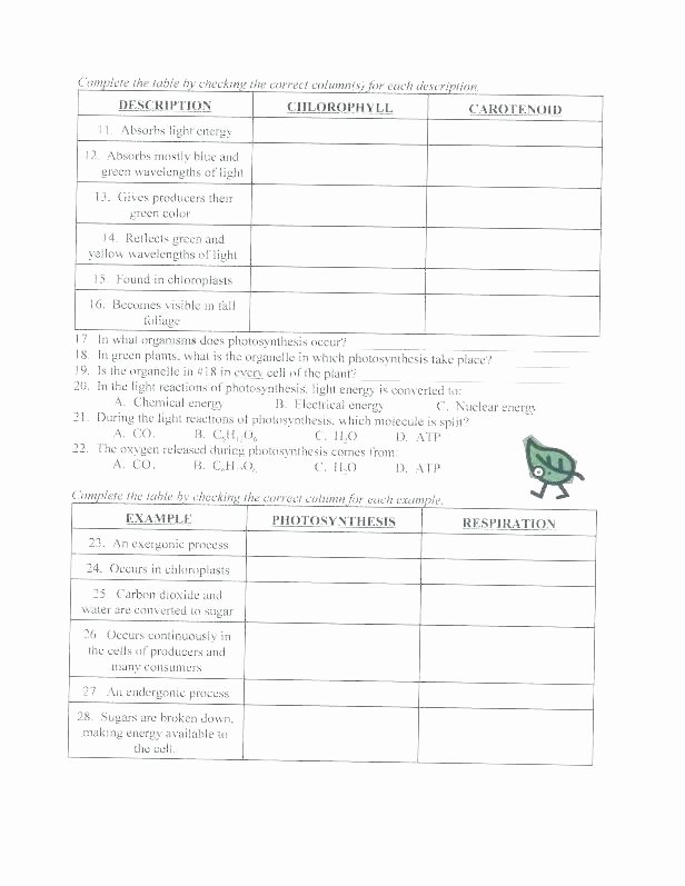 Ecosystem Worksheets 4th Grade Flowers Ecology Worksheets for High School Lessons