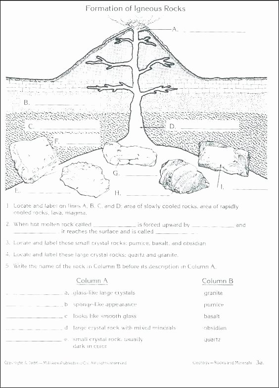 Eighth Grade Science Worksheets 8th Grade Science Worksheets Grade Science Worksheets