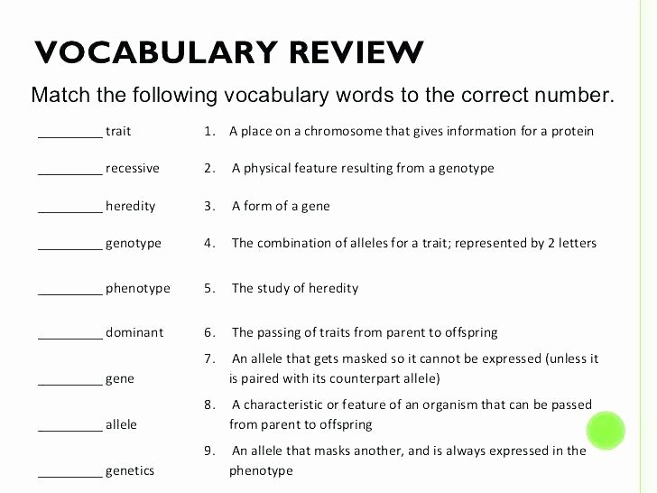 Eighth Grade Vocabulary Worksheets High School Vocabulary Worksheets Practice 7th Grade Act Pdf