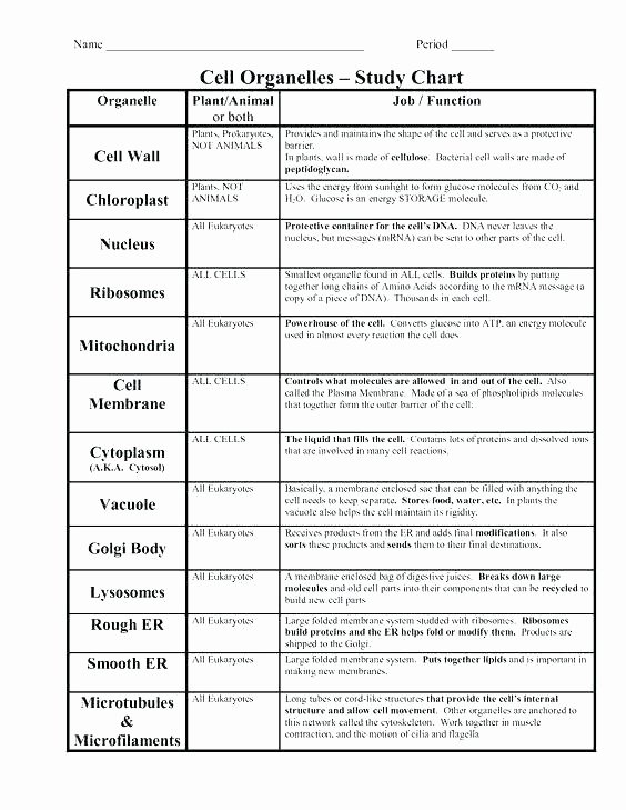 Energy Worksheets Middle School Pdf Middle School Biology Worksheets Drama Worksheets Free for