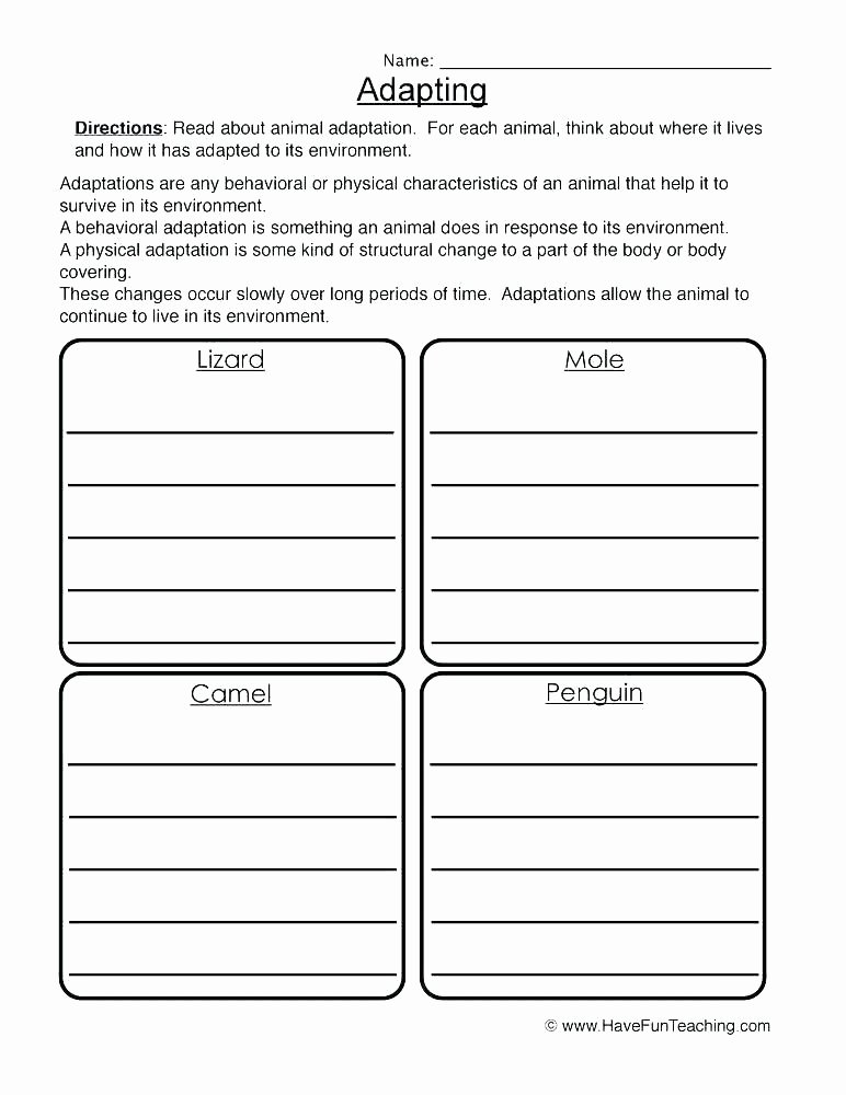 Energy Worksheets Middle School Pdf Middle School Science Worksheets Free High the Best Image