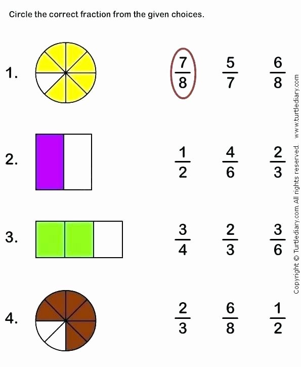 Equivalent Fraction Worksheets 5th Grade 3rd Grade Math Fractions Worksheets – Primalvape