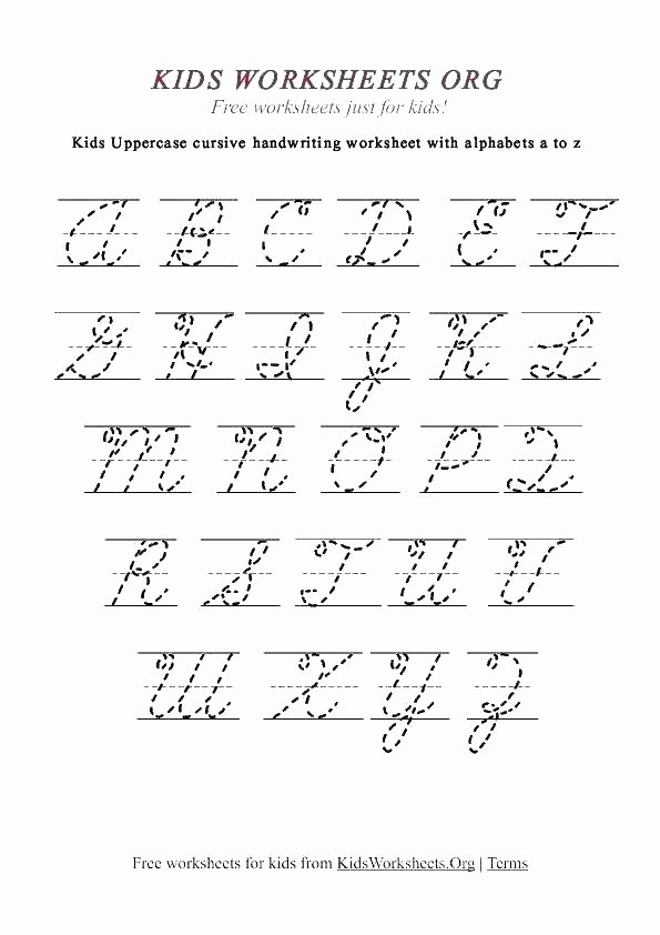 Fake Calligraphy Practice Sheets Calligraphy Letters for Beginners Worksheets