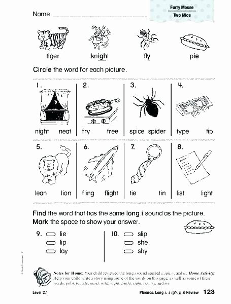 First Grade History Worksheets 1st Grade social Stu S Worksheets for First Free Ry