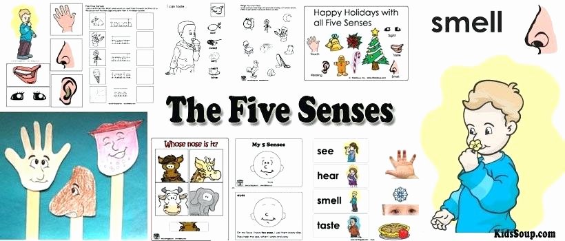 Five Senses Kindergarten Worksheet force and Motion Worksheet Label Uses Water Worksheets