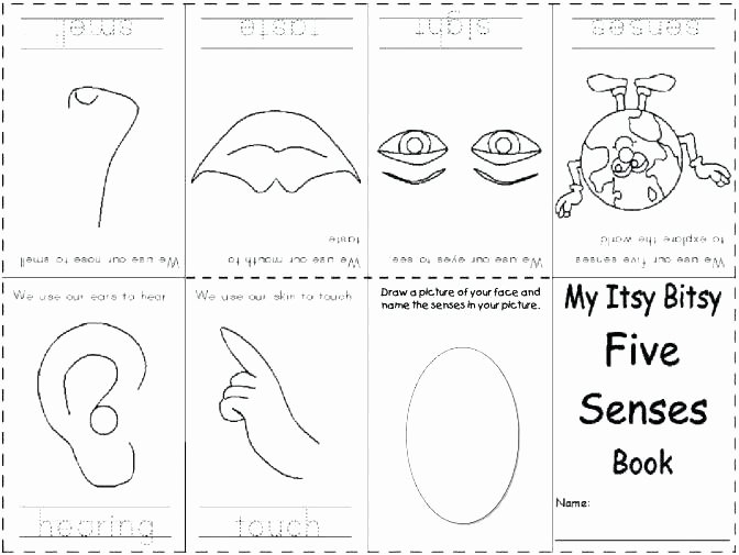 Five Senses Kindergarten Worksheet Kindergarten Science Worksheets Free Printable Number Names