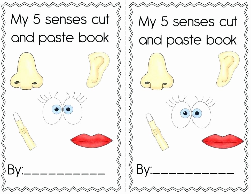 Five Senses Kindergarten Worksheet Science Activity Worksheets