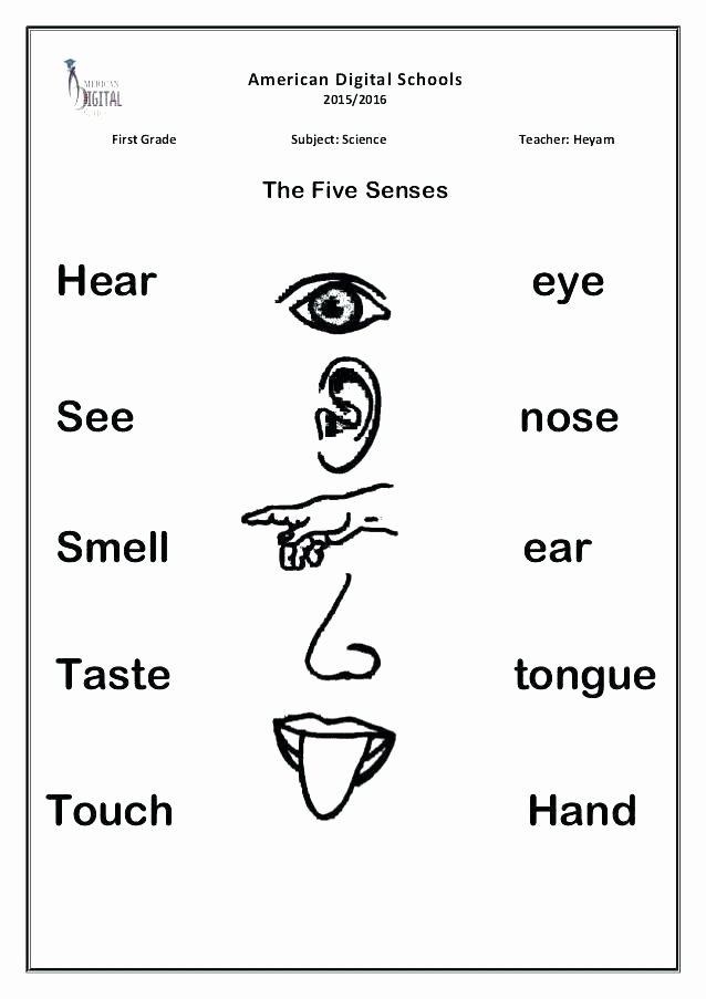 Five Senses Worksheets for Kindergarten 5 Senses Worksheets Five Senses Worksheets Name 5 Sense