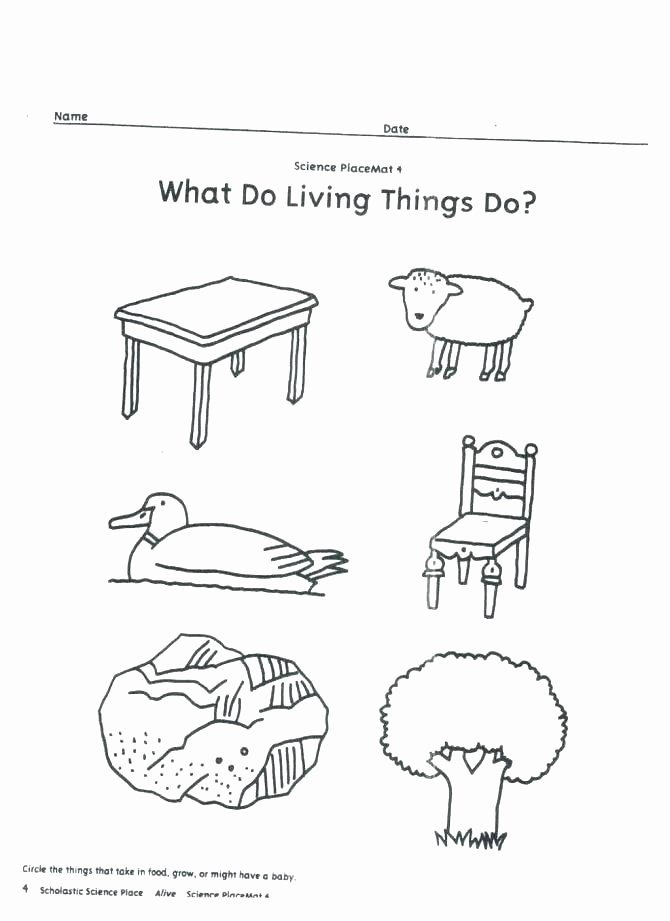Five Senses Worksheets for Kindergarten Five Senses Worksheets Hard and soft Objects Printable Free