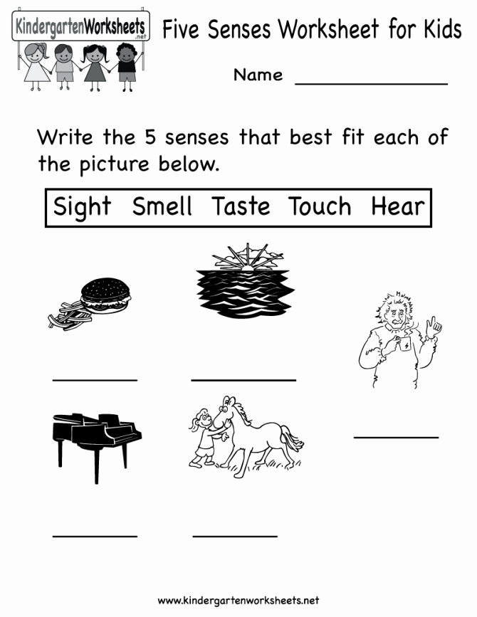 Five Senses Worksheets for Kindergarten Free Printables for Preschool Letters Christmas Math