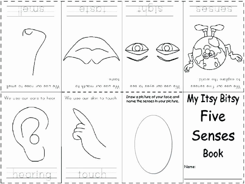 Five Senses Worksheets for Kindergarten Free Seasons Worksheet for Kindergarten Science Worksheets