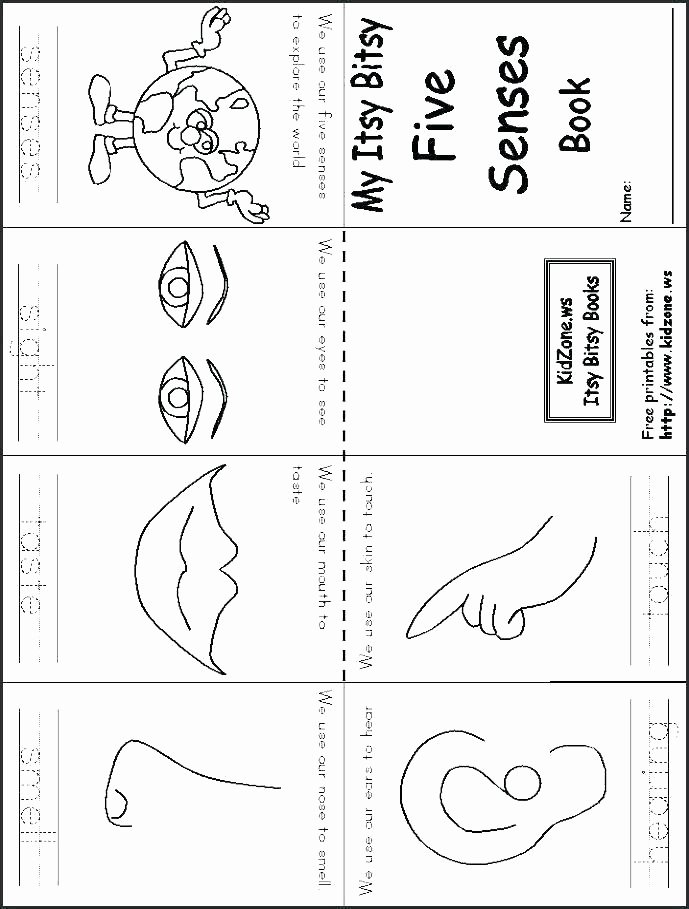 Five Senses Worksheets for Kindergarten Preschool Worksheets Five Senses Download them and Try to