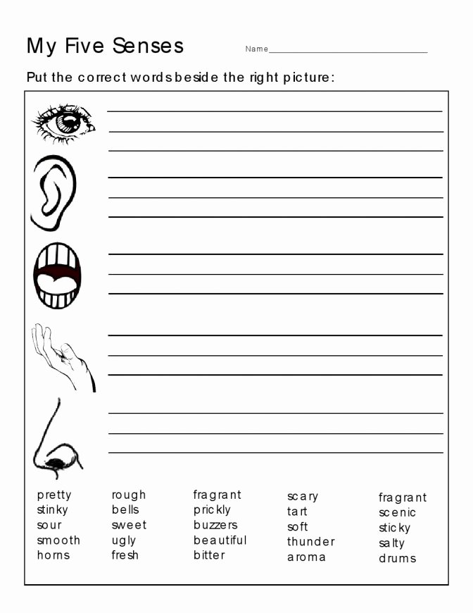Five Senses Worksheets Kindergarten 5 Senses Worksheets for Kindergarten the Five Preschoolers