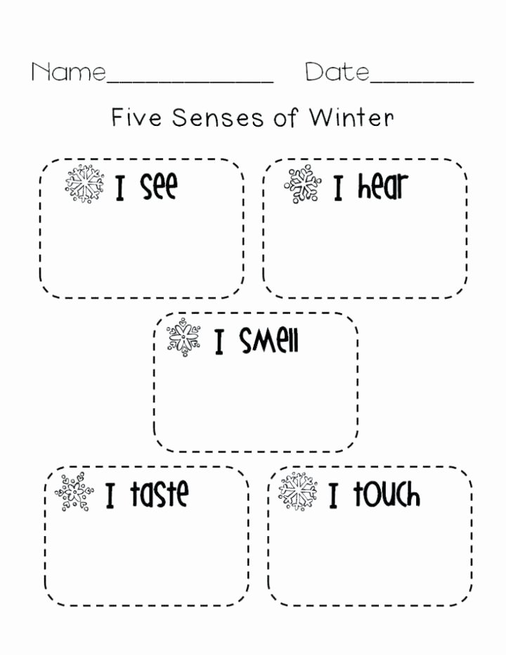 Five Senses Worksheets Kindergarten Color orange Worksheets for Preschool Science All Learning