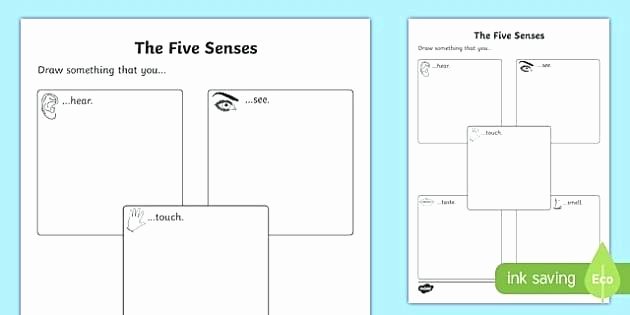 Five Senses Worksheets Pdf Fresh Five Senses Worksheet the Five Senses 6 Sense organs Working