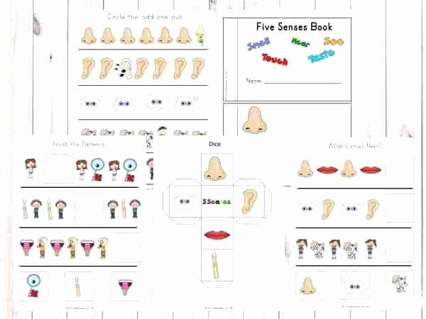 Five Senses Worksheets Pdf Fresh Sensory Worksheets Sense Taste Worksheets for