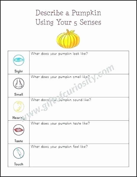 Five Senses Worksheets Pdf Lovely Sensory Worksheets Five Senses Preschool Preschool