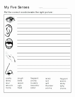 Five Senses Worksheets Pdf New 5 Senses Book Kindergarten
