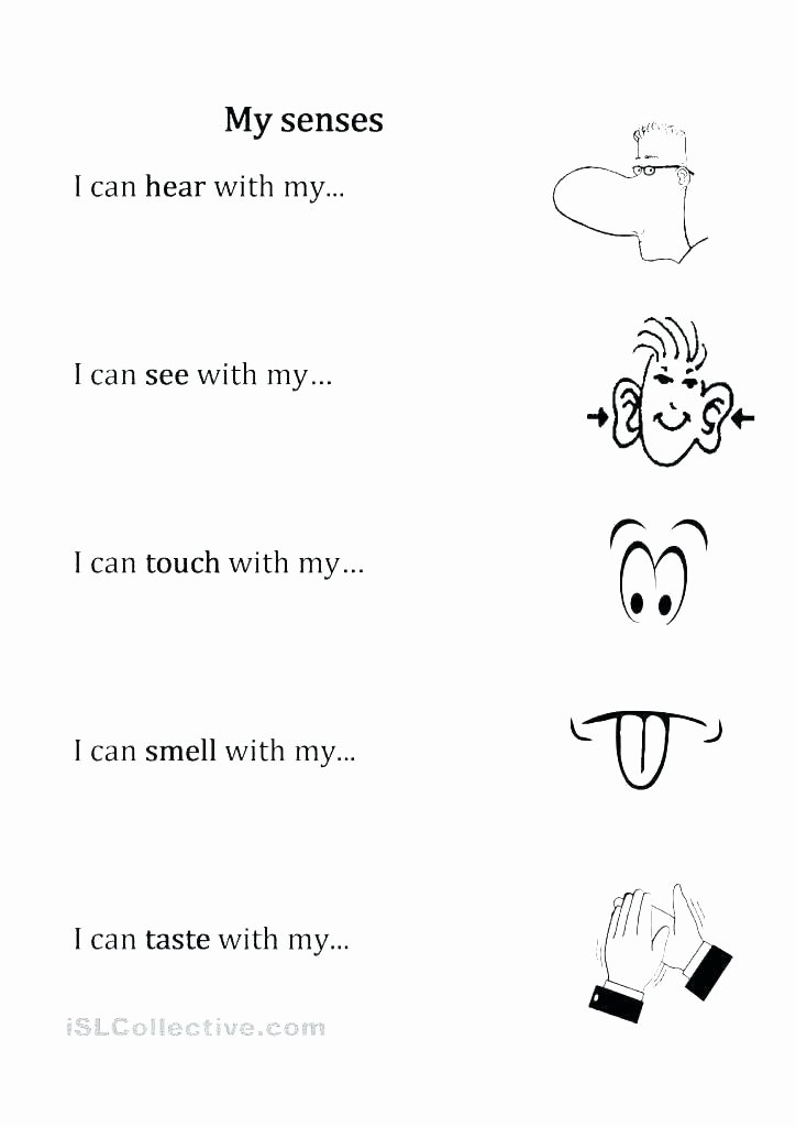 Five Senses Worksheets Preschool Beautiful Sensory Words Worksheet Exercises with Answers