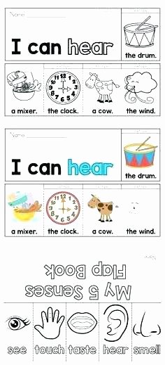 Five Senses Worksheets Preschool Inspirational Free Number Sense Worksheets