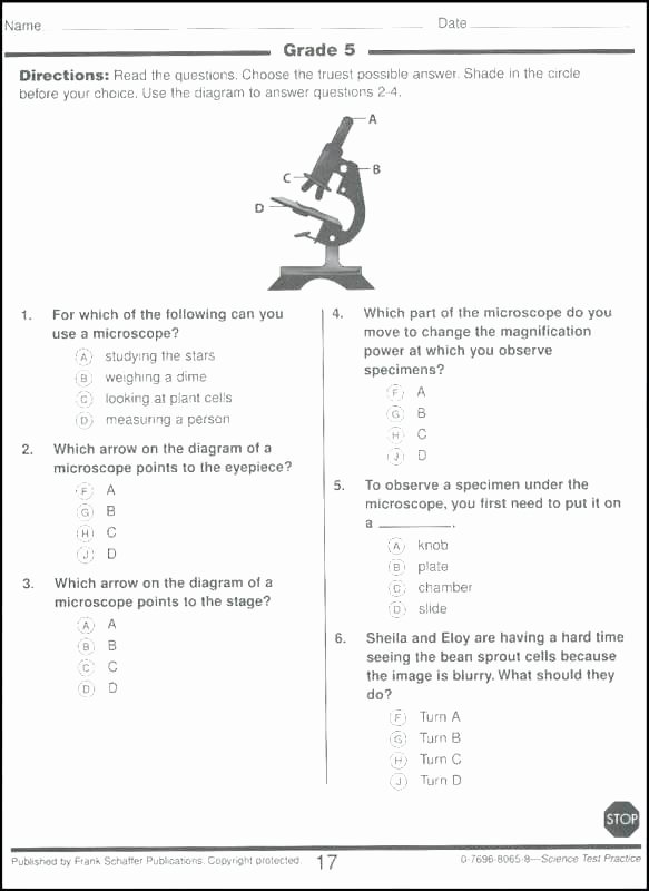 Free 6th Grade Science Worksheets Free 6th Grade Science Worksheets