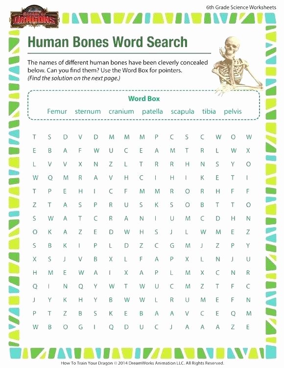 Free 6th Grade Science Worksheets Human Bones Word Search Free Science Worksheet for Sixth