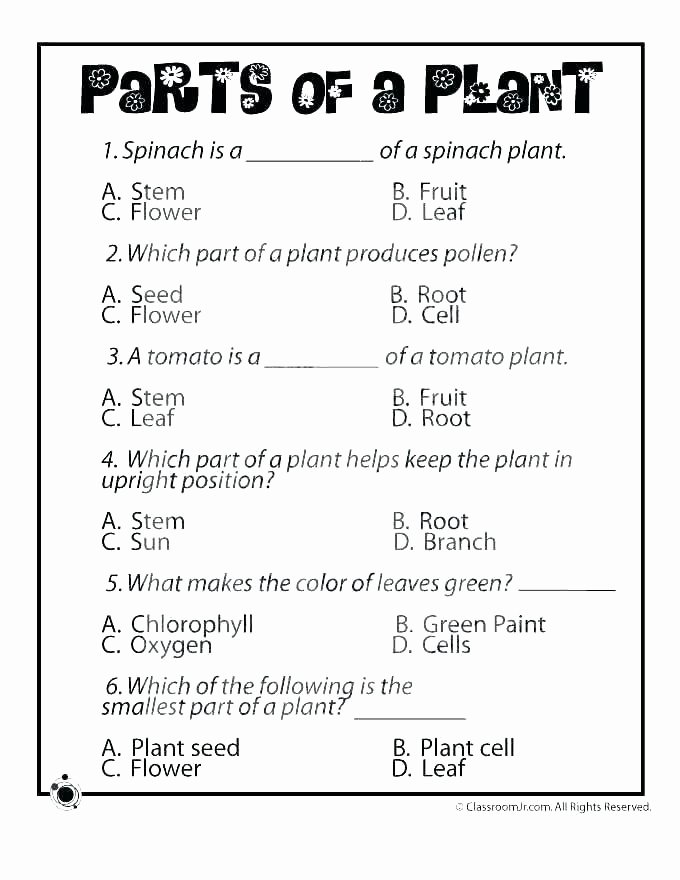 Free 6th Grade Science Worksheets Science Ecosystem Worksheets