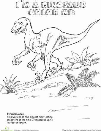 Free Dinosaur Worksheets Tyrannosaurus Rex Education Dinos
