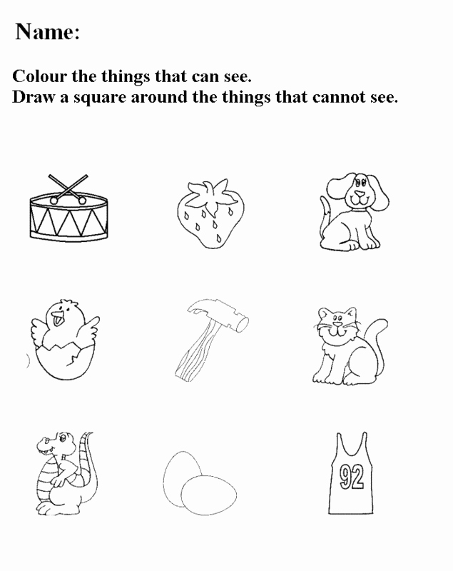 Free Five Senses Worksheets Five Sense Worksheet New 821 Five Senses Preschool Coloring