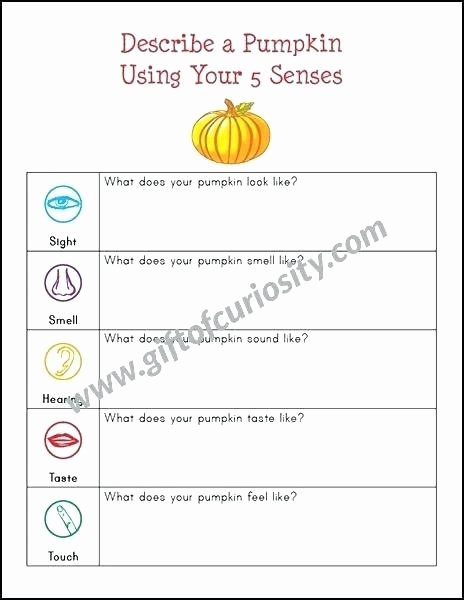 Free Five Senses Worksheets Sensory Images Worksheets – Skyphotos