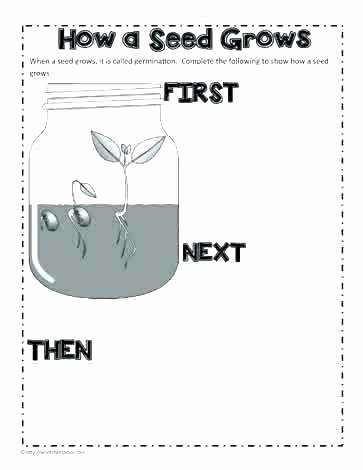 Free Following Directions Worksheets Position Worksheets