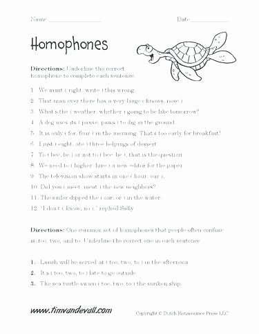 Free Homophone Worksheets Homograph Worksheets 5th Grade