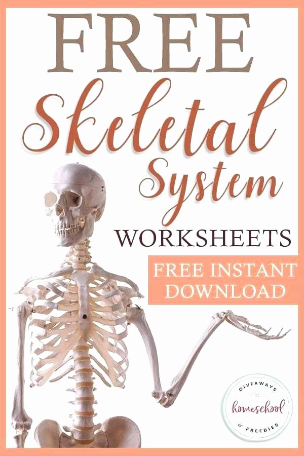 Free Human Body Systems Worksheets Free Skeletal System Worksheets – Letseatapp