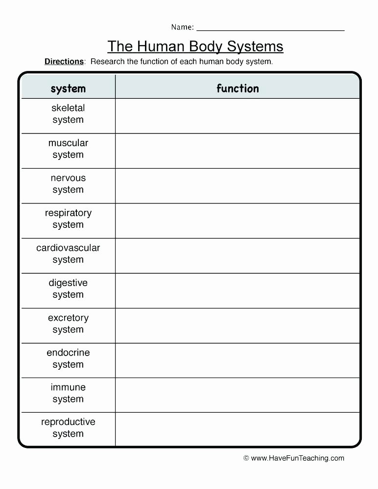 Free Human Body Systems Worksheets Human Body Worksheets Have Fun Teaching Systems Worksheet L