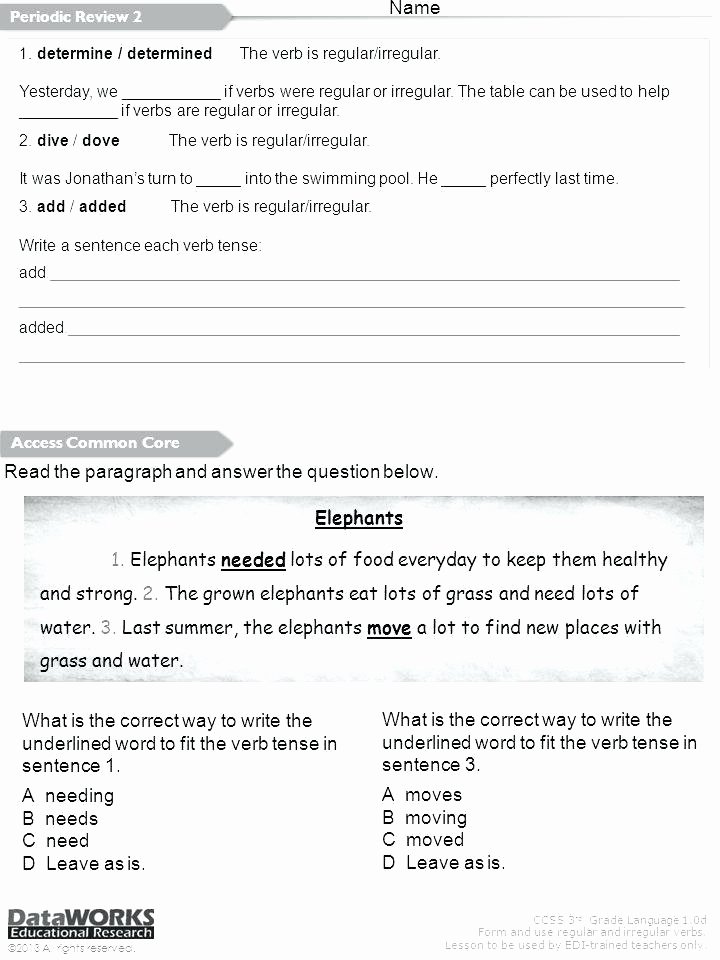 Free Irregular Plural Nouns Worksheet Nouns and Verbs Worksheets 2nd Grade